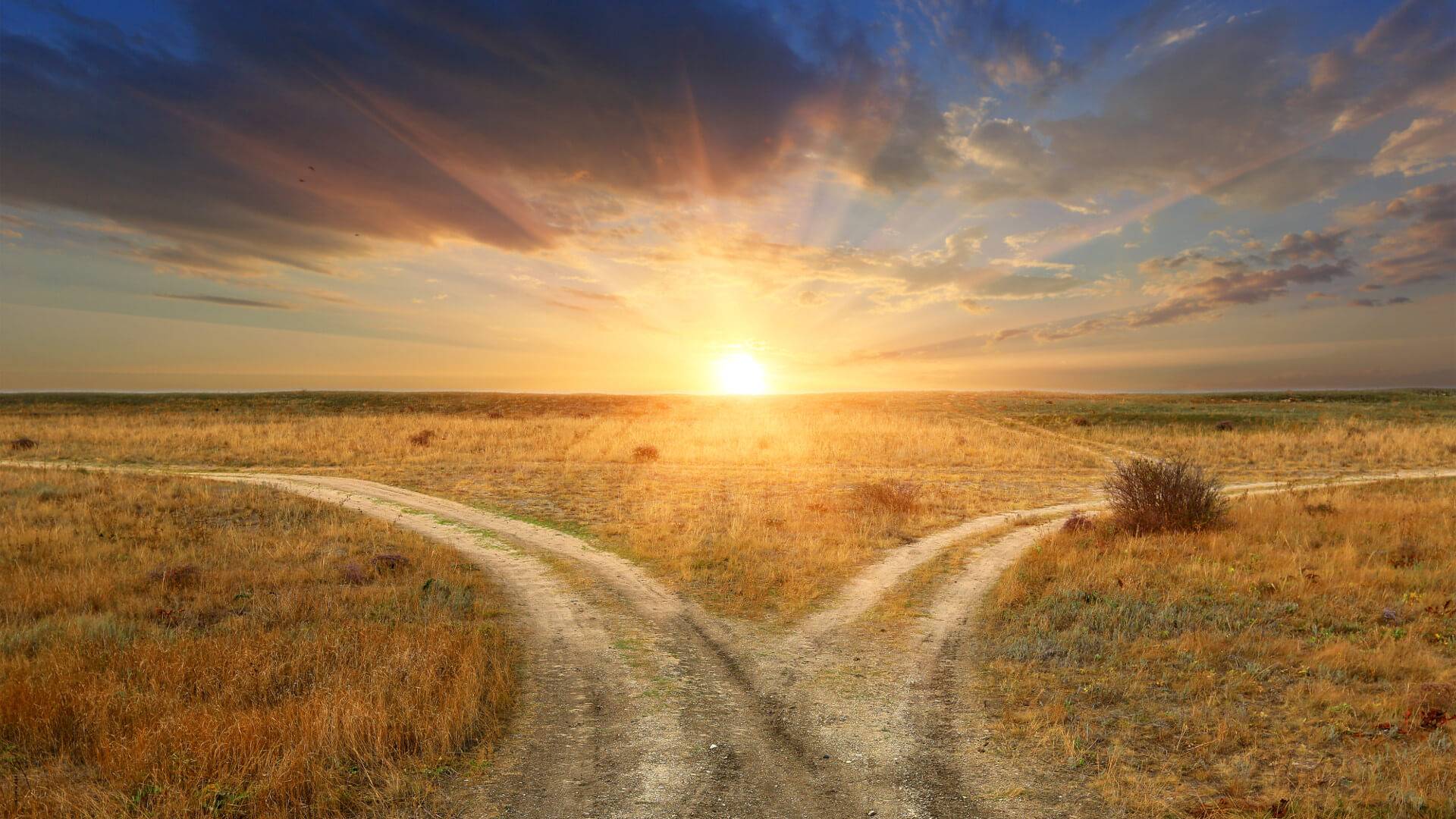 Analyzing Algorithms 6/6: Determinism