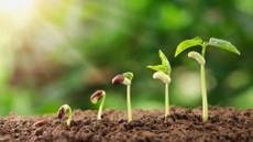 Analyzing Algorithms 2/6: Function Growth